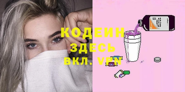 гашик Алексин