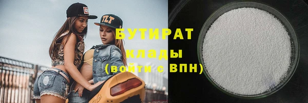 гашик Алексин