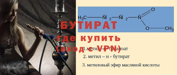 гашик Алексин