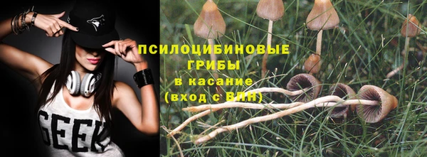 apvp Алзамай