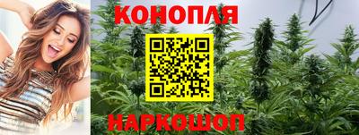 гашик Абакан