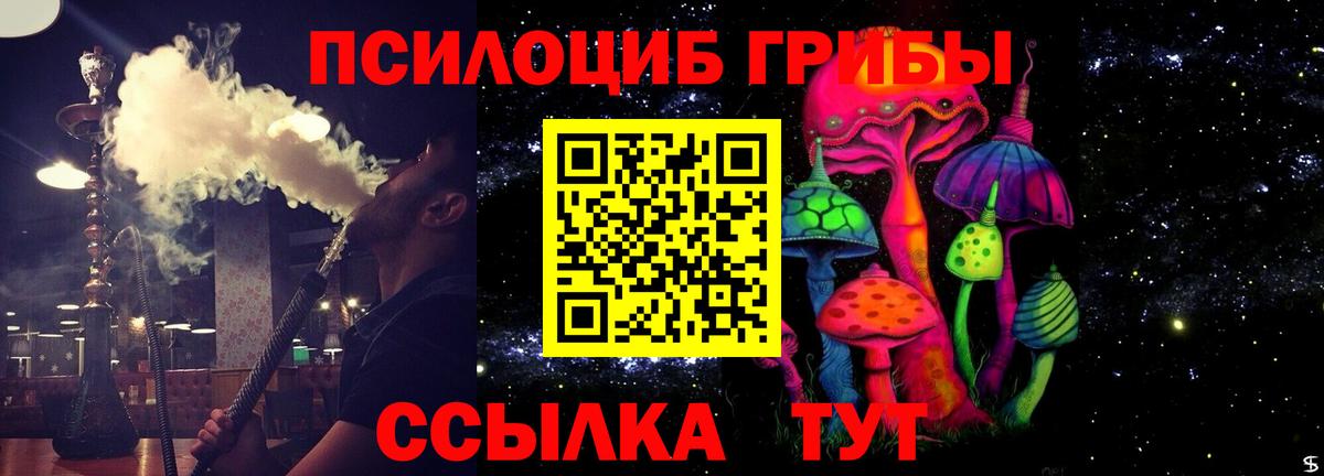 Анжеро-Судженск  Галлюциногенные грибы Cubensis  Псилоцибиновые грибы Psilocybe  Вход с VPN 